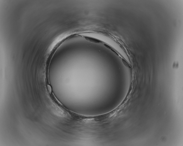 X0000090600054200707241053