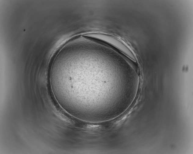 X0000090600055200707241053