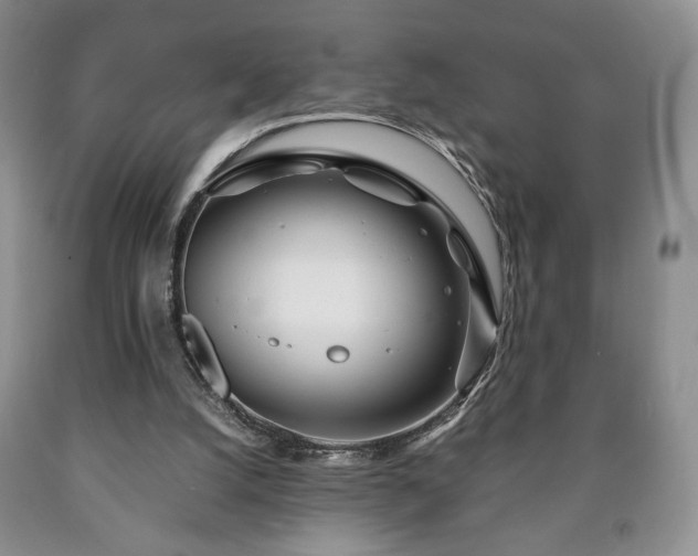 X0000090600056200707241053