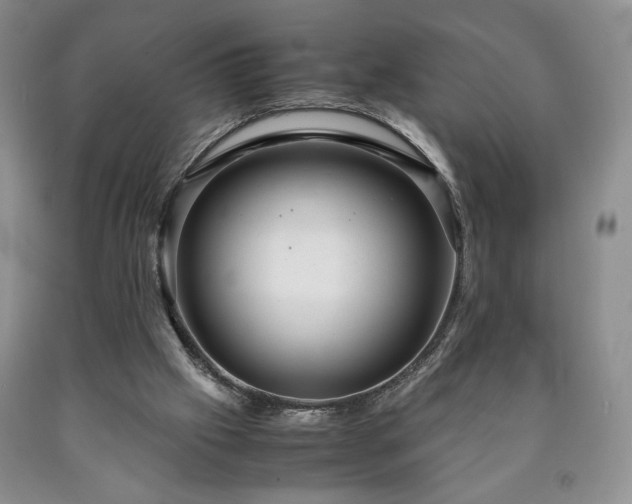 X0000090600057200707241053