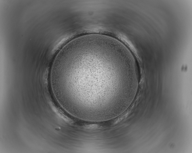 X0000090600058200707241053