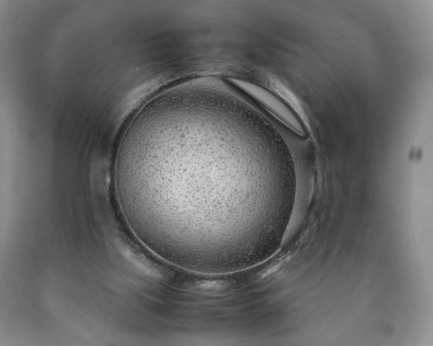 X0000090600059200707241053