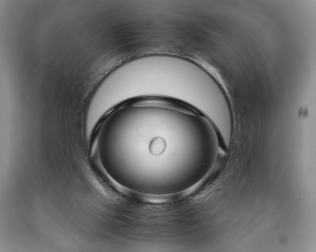 X0000090600061200707241053