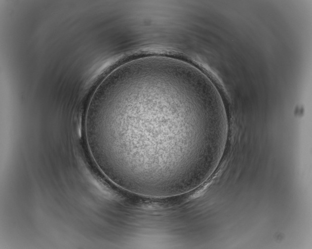 X0000090600062200707241053