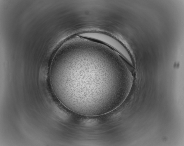 X0000090600063200707241053