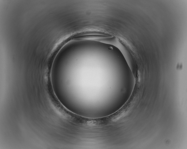 X0000090600064200707241053