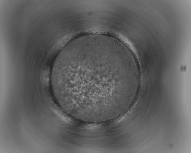 X0000090600065200707241053