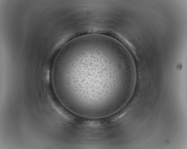 X0000090600067200707241053