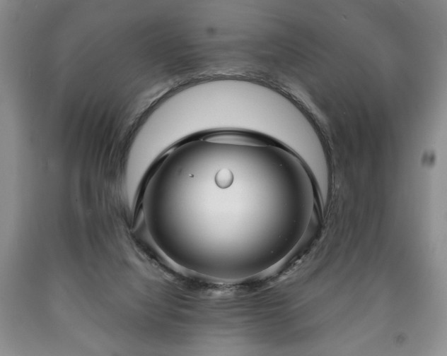 X0000090600068200707241053