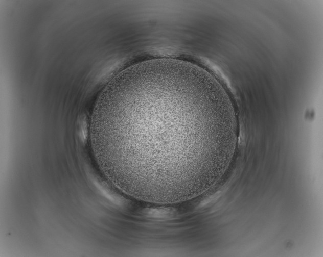 X0000090600069200707241053