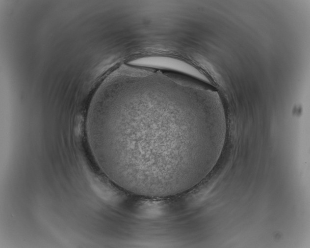 X0000090600071200707241053