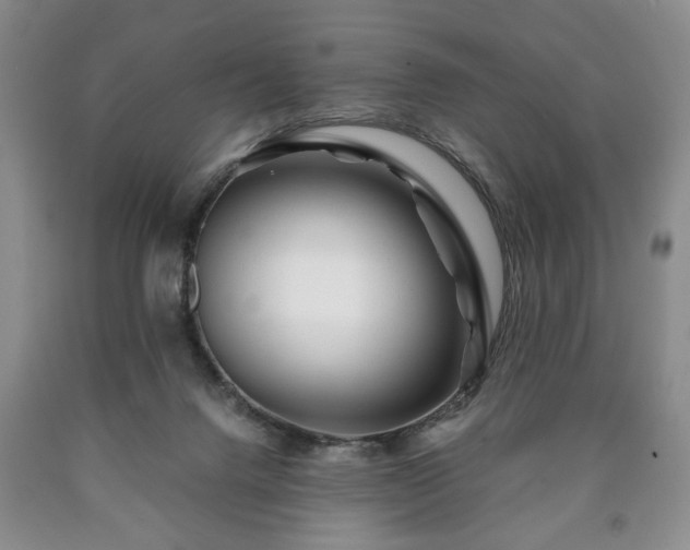 X0000090600072200707241053