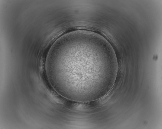 X0000090600074200707241053