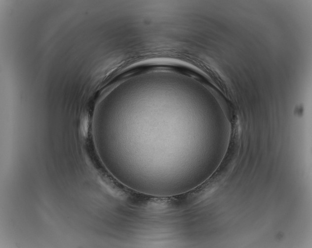 X0000090600076200707241053