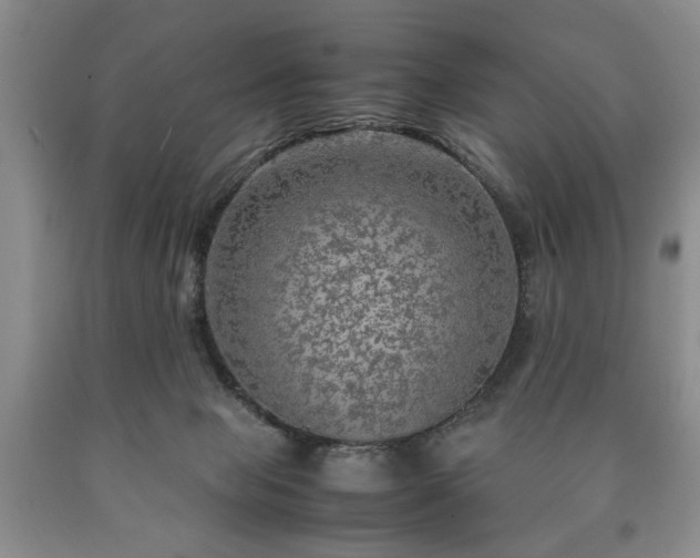 X0000090600077200707241053