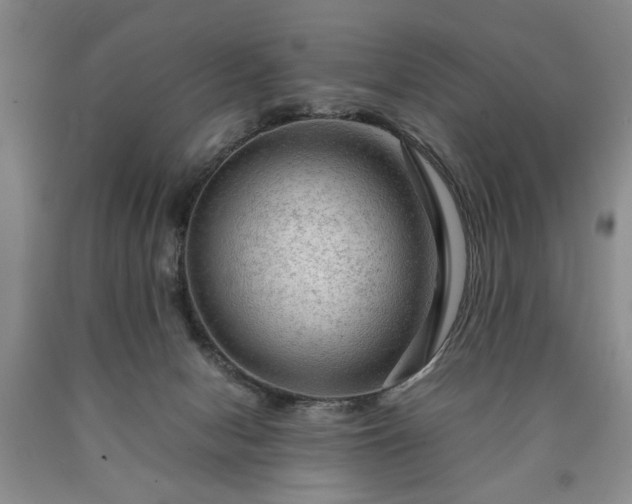 X0000090600078200707241053