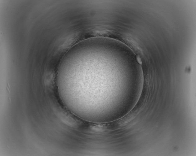 X0000090600079200707241053