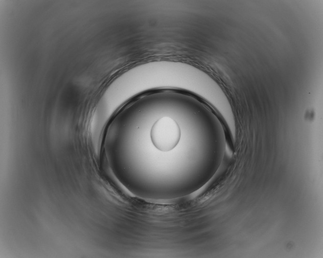 X0000090600081200707241053