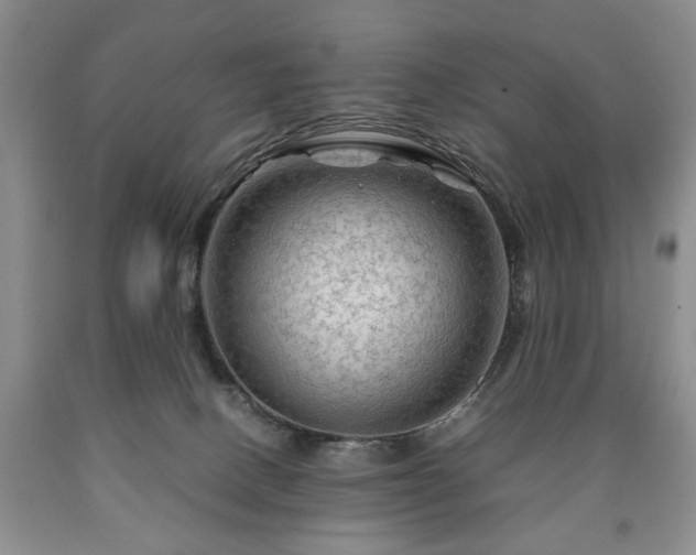 X0000090600082200707241053