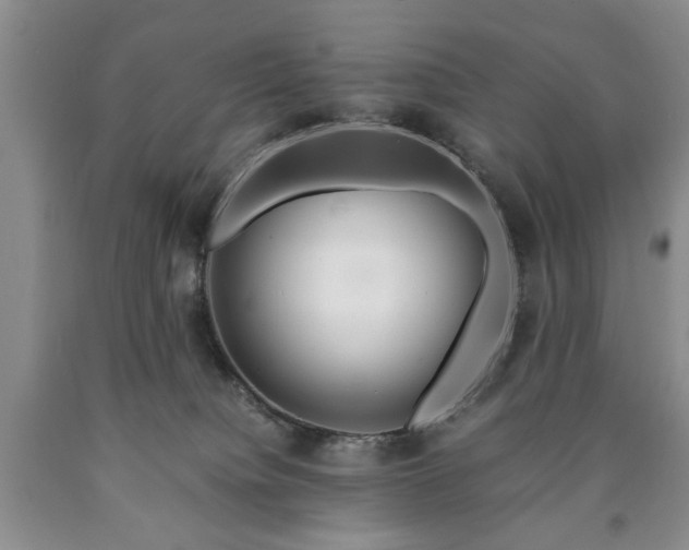 X0000090600084200707241053