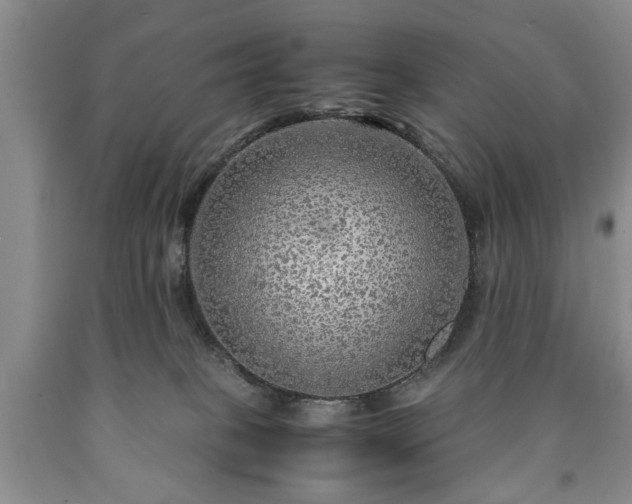 X0000090600085200707241053