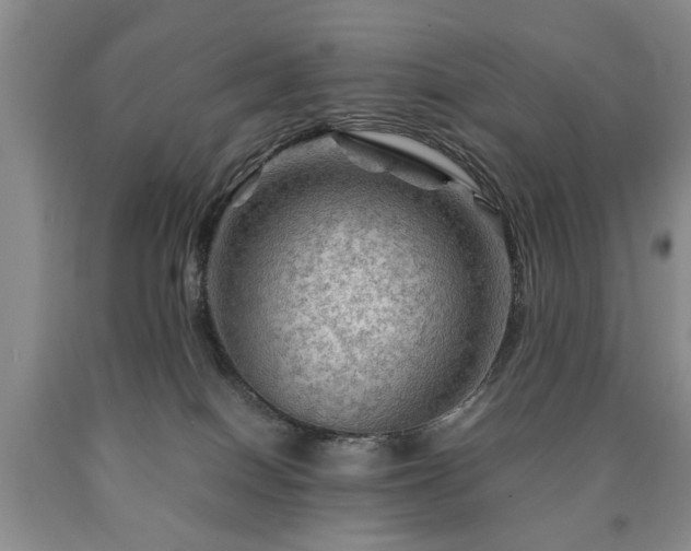 X0000090600086200707241053