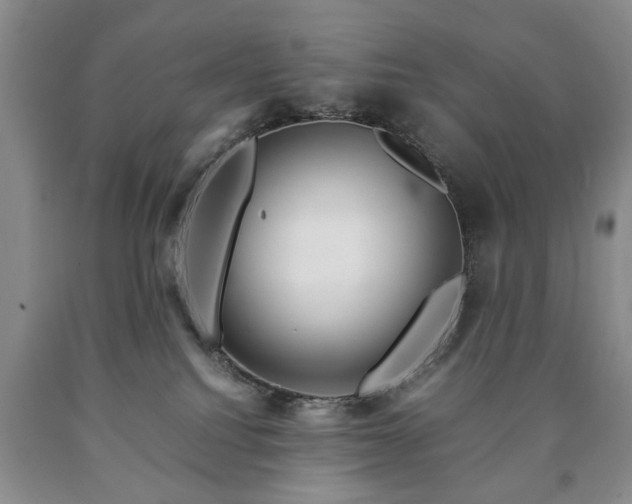 X0000090600088200707241054