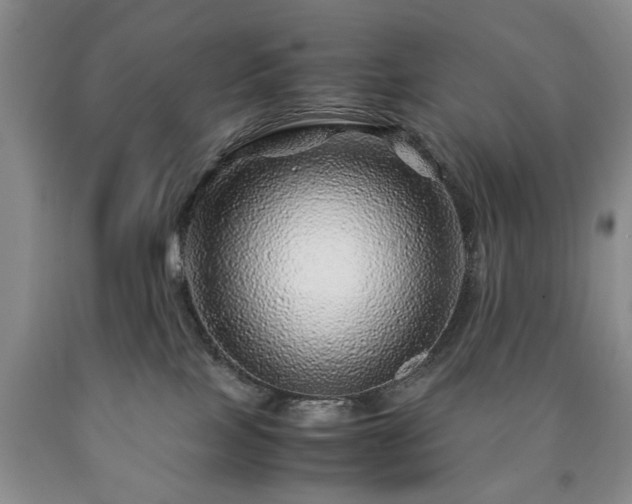 X0000090600089200707241054