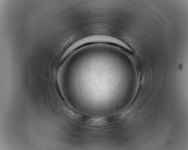 X0000090600093200707241054