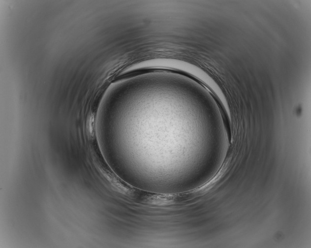 X0000090600094200707241054