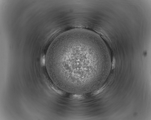 X0000090600095200707241054