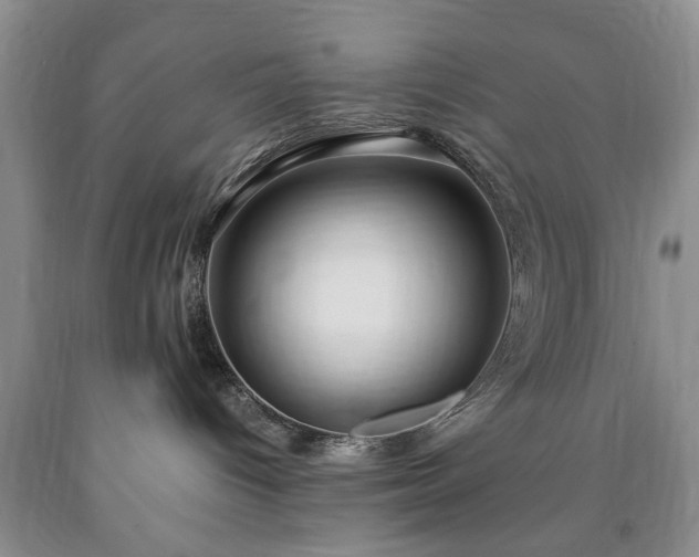 X0000090600096200707241054