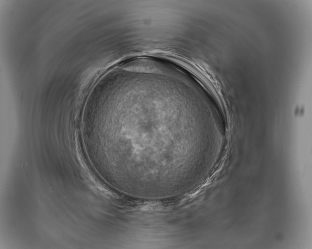 X0000090600097200707241053