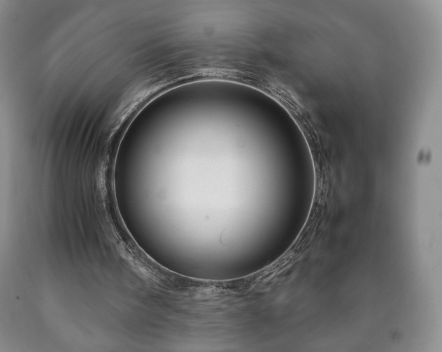 X0000090600098200707241053