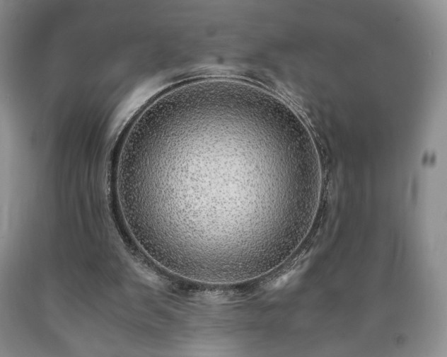 X0000090600103200707241053