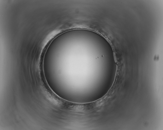 X0000090600104200707241053