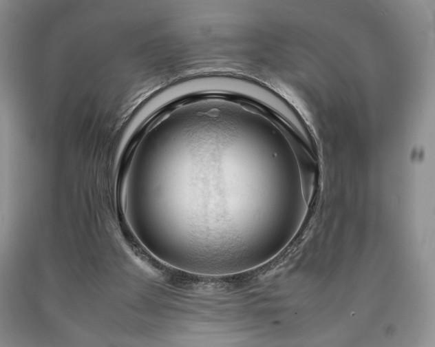 X0000090600105200707241053