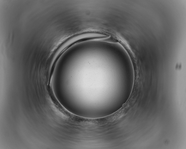 X0000090600106200707241053