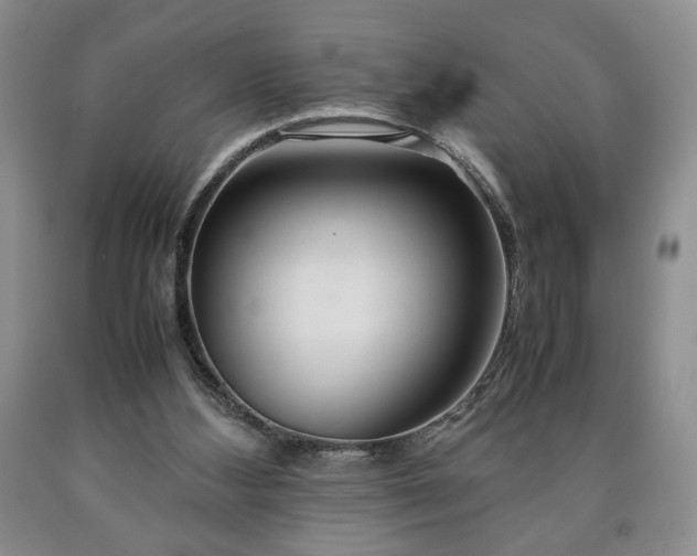 X0000090600108200707241053