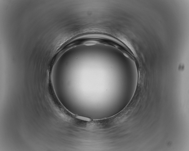 X0000090600109200707241053