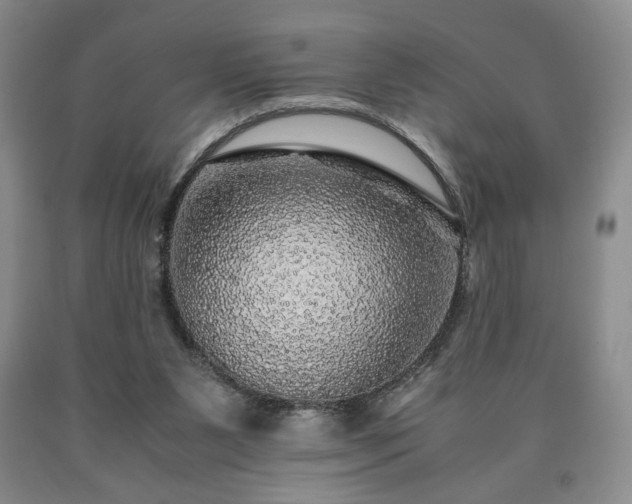 X0000090600111200707241053