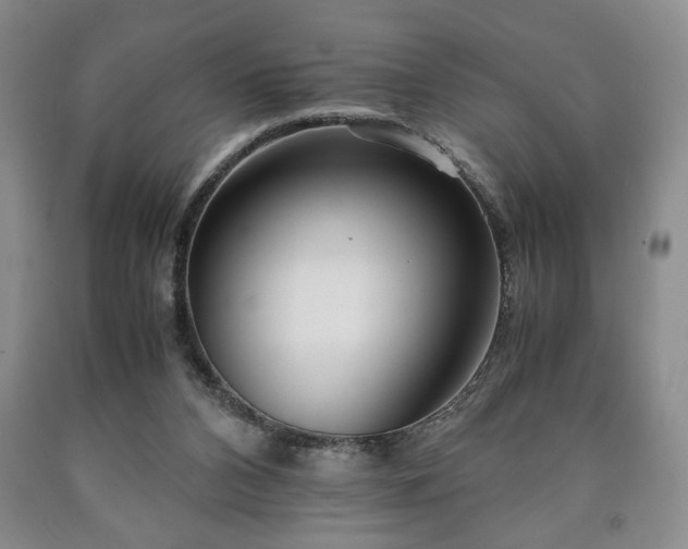 X0000090600112200707241053