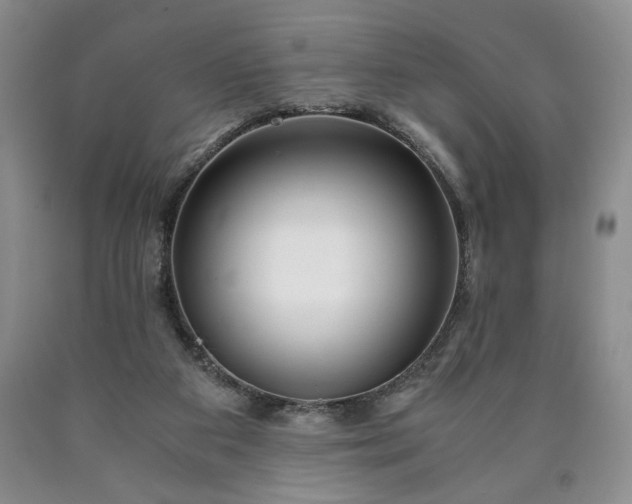 X0000090600113200707241053