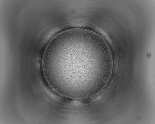 X0000090600114200707241053