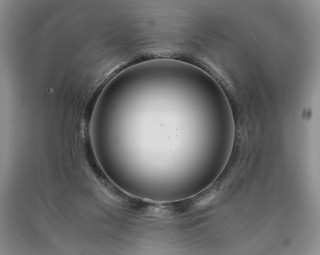 X0000090600117200707241053