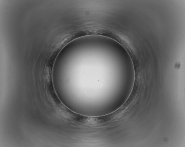 X0000090600121200707241053