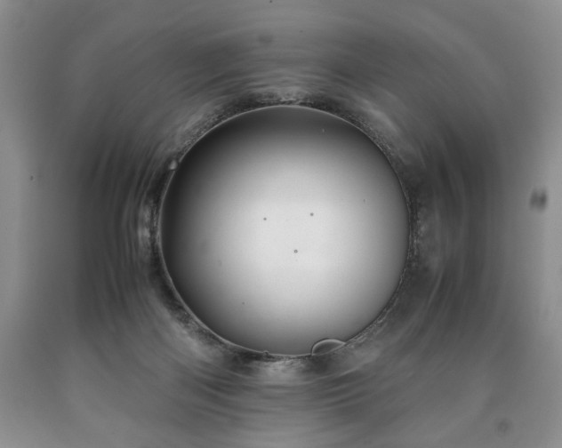 X0000090600122200707241053