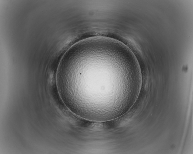 X0000090600123200707241053