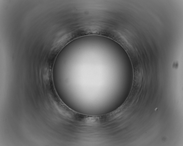 X0000090600126200707241053