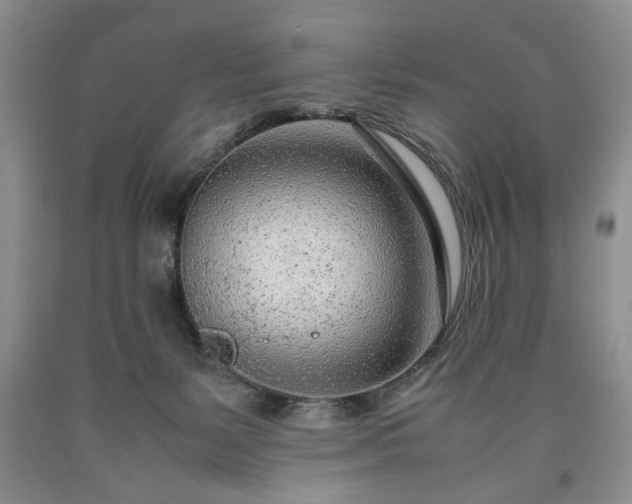 X0000090600127200707241053